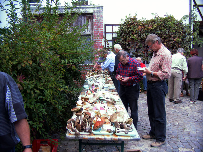 Exkursion LVPS in Bad Schmiedeberg am 12.09.2009